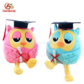 Personnalisé Objets en peluche Graduation Panda Bouquet Hibou Poupée Ours En Peluche Peluche